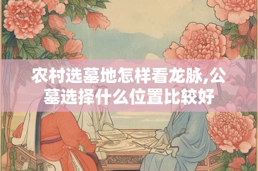 农村选墓地怎样看龙脉,公墓选择什么位置比较好