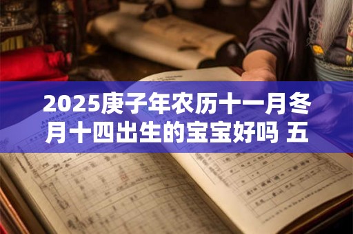 2025庚子年农历十一月冬月十四出生的宝宝好吗 五行八字查询