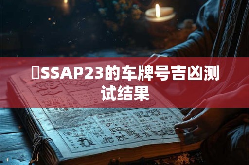 粵SSAP23的车牌号吉凶测试结果