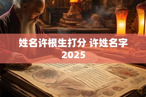 姓名许根生打分 许姓名字2025