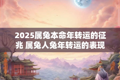 2025属兔本命年转运的征兆 属兔人兔年转运的表现