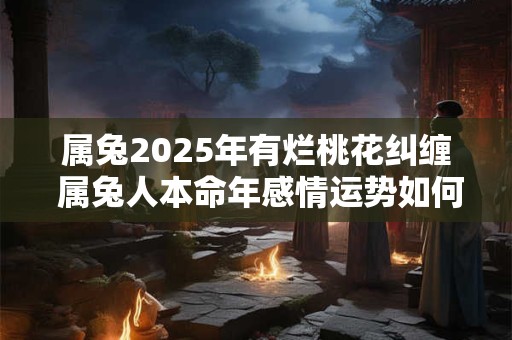属兔2025年有烂桃花纠缠 属兔人本命年感情运势如何