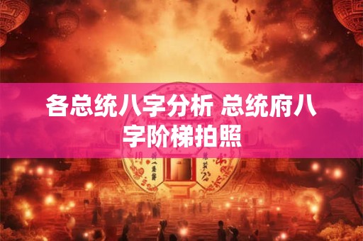各总统八字分析 总统府八字阶梯拍照