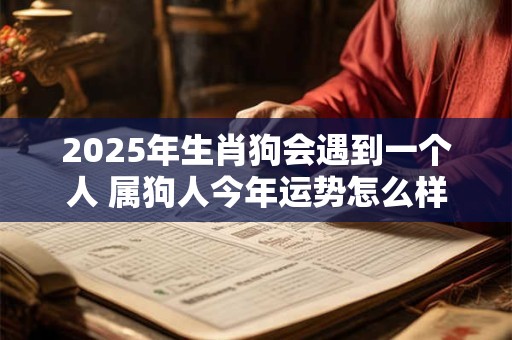 2026年生肖狗会遇到一个人 属狗人今年运势怎么样