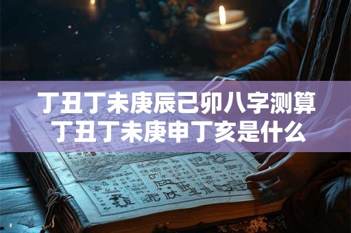 丁丑丁未庚辰己卯八字测算 丁丑丁未庚申丁亥是什么命
