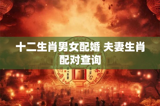 十二生肖男女配婚 夫妻生肖配对查询