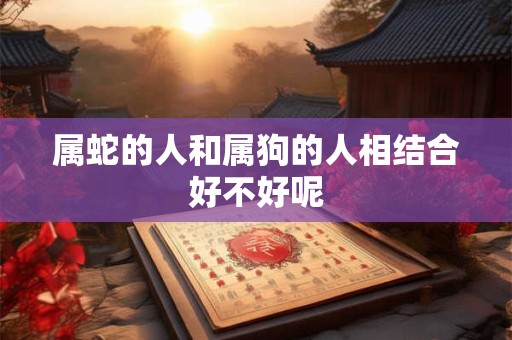 属蛇的人和属狗的人相结合好不好呢
