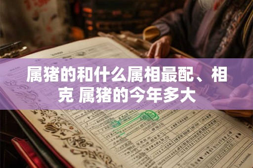 属猪的和什么属相最配、相克 属猪的今年多大