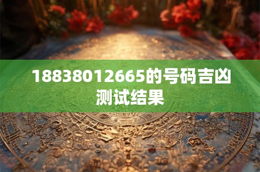 18838012665的号码吉凶测试结果