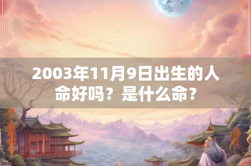 2003年11月9日出生的人命好吗？是什么命？