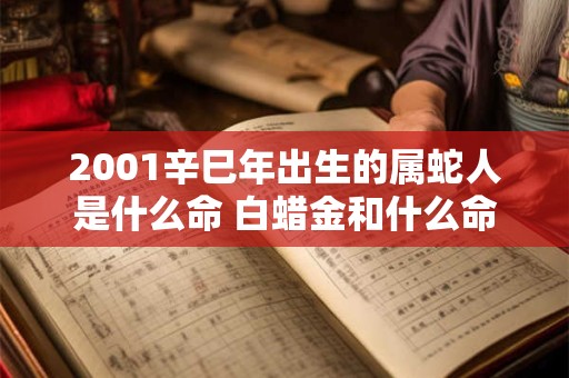 2001辛巳年出生的属蛇人是什么命 白蜡金和什么命最配