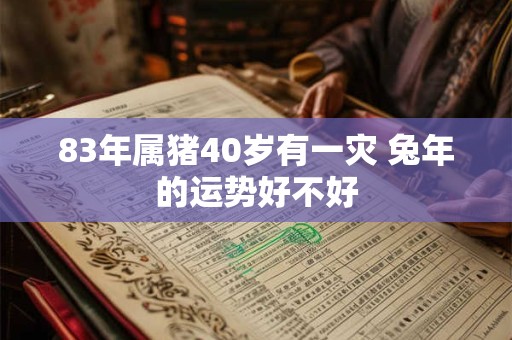 83年属猪40岁有一灾 兔年的运势好不好