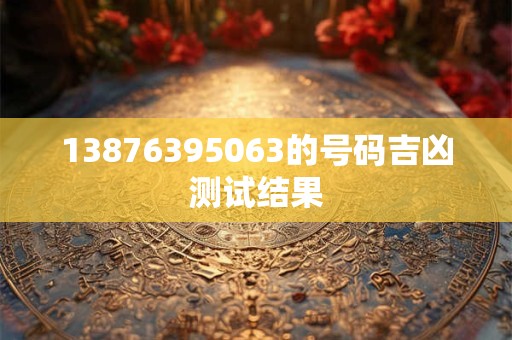13876395063的号码吉凶测试结果
