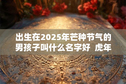 出生在2025年芒种节气的男孩子叫什么名字好  虎年免费起名