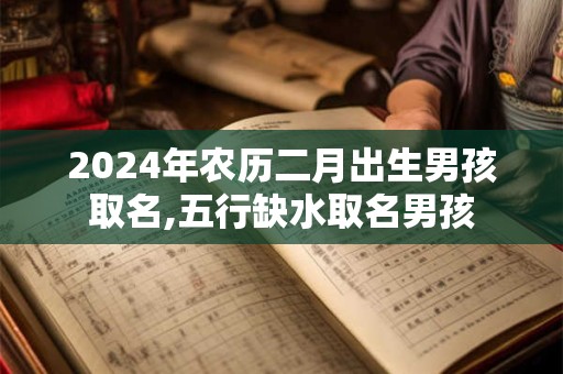 2024年农历二月出生男孩取名,五行缺水取名男孩
