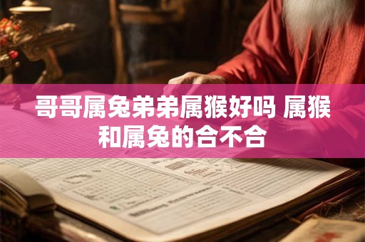 哥哥属兔弟弟属猴好吗 属猴和属兔的合不合