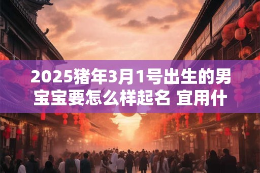 2025猪年3月1号出生的男宝宝要怎么样起名 宜用什么字