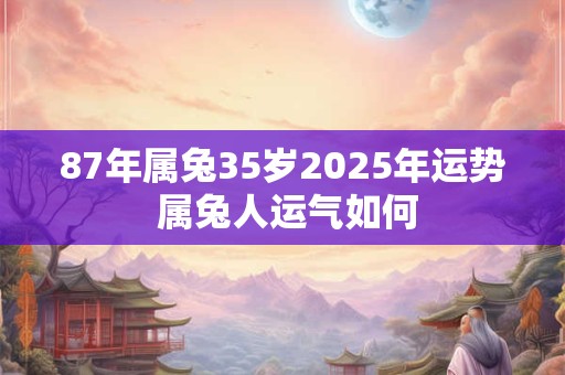 87年属兔35岁2025年运势 属兔人运气如何