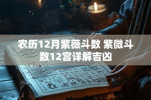 农历12月紫薇斗数 紫微斗数12宫详解吉凶