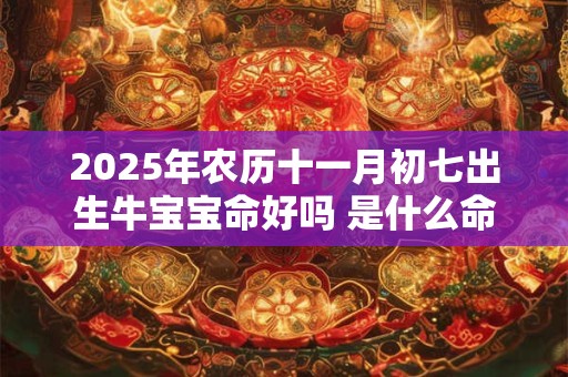 2025年农历十一月初七出生牛宝宝命好吗 是什么命