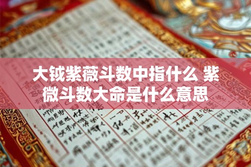 大钺紫薇斗数中指什么 紫微斗数大命是什么意思