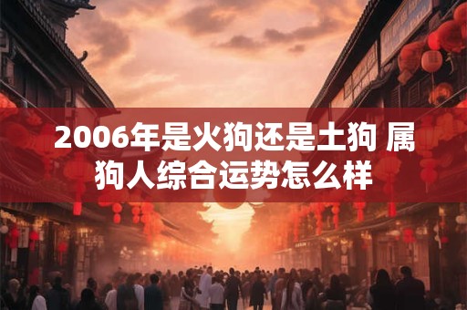 2006年是火狗还是土狗 属狗人综合运势怎么样