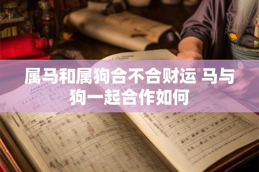 属马和属狗合不合财运 马与狗一起合作如何