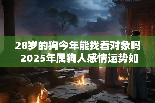 28岁的狗今年能找着对象吗 2025年属狗人感情运势如何