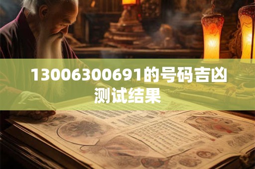 13006300691的号码吉凶测试结果