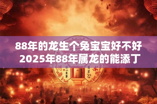 88年的龙生个兔宝宝好不好 2025年88年属龙的能添丁吗