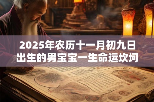 2025年农历十一月初九日出生的男宝宝一生命运坎坷吗
