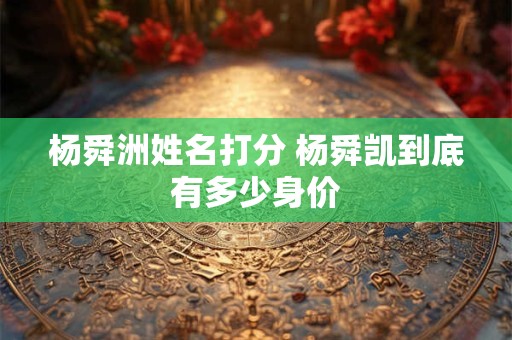杨舜洲姓名打分 杨舜凯到底有多少身价