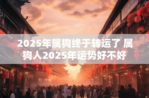 2025年属狗终于转运了 属狗人2025年运势好不好