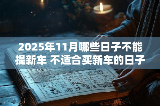 2025年11月哪些日子不能提新车 不适合买新车的日子