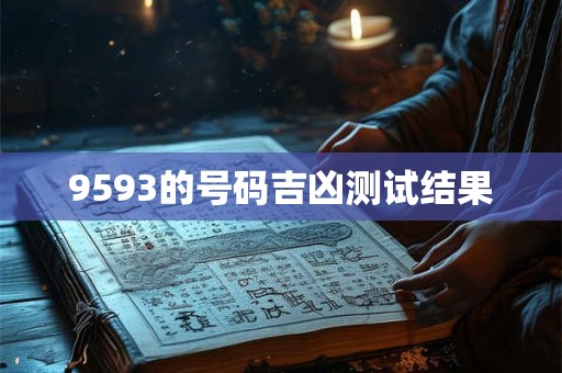 9593的号码吉凶测试结果