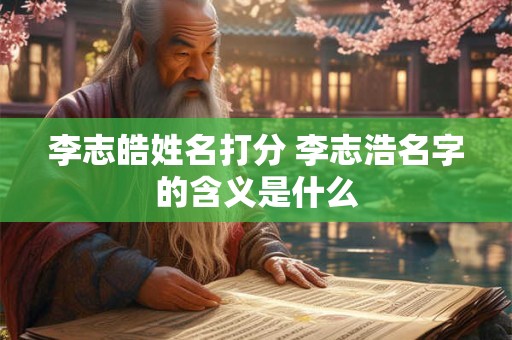 李志皓姓名打分 李志浩名字的含义是什么
