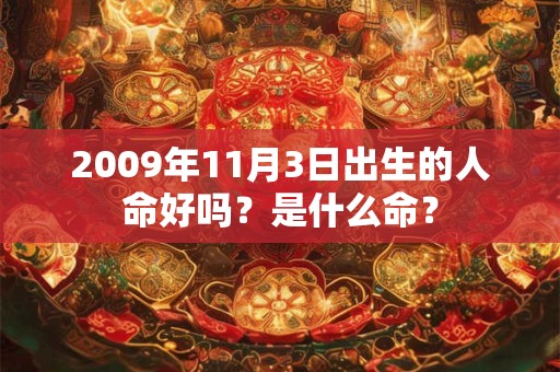 2009年11月3日出生的人命好吗？是什么命？