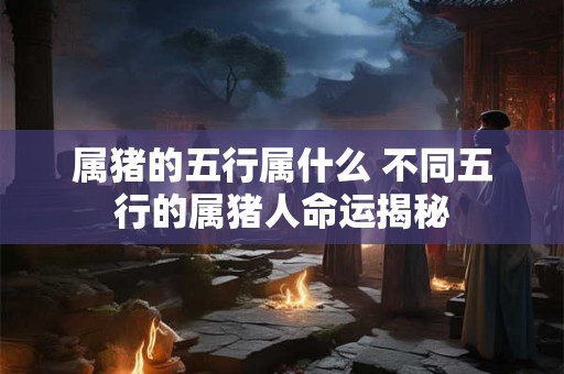 属猪的五行属什么 不同五行的属猪人命运揭秘
