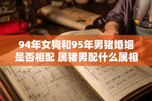 94年女狗和95年男猪婚姻是否相配 属猪男配什么属相好