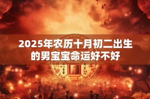 2025年农历十月初二出生的男宝宝命运好不好