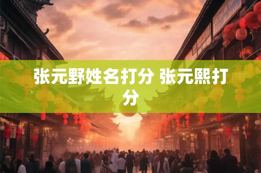 张元野姓名打分 张元熙打分