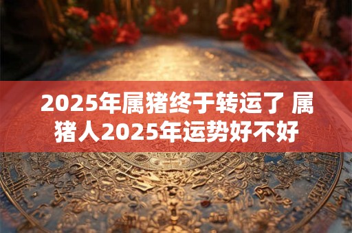2025年属猪终于转运了 属猪人2025年运势好不好