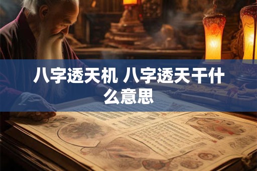 八字透天机 八字透天干什么意思