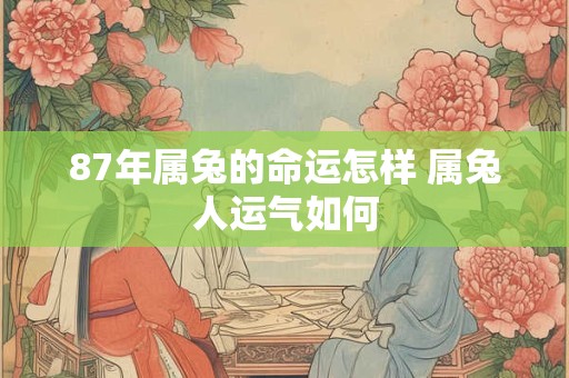 87年属兔的命运怎样 属兔人运气如何