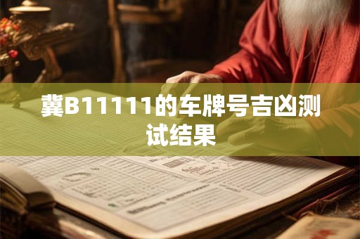 冀B11111的车牌号吉凶测试结果