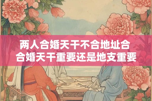 两人合婚天干不合地址合 合婚天干重要还是地支重要纳音五行