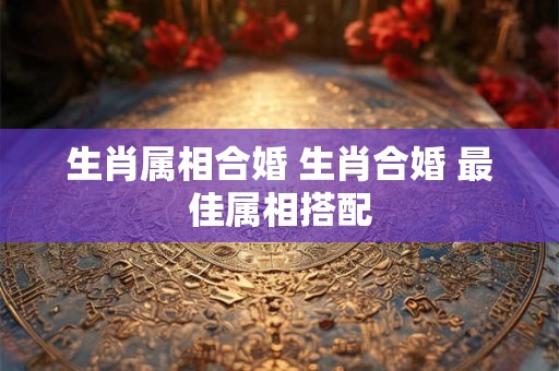 生肖属相合婚 生肖合婚 最佳属相搭配