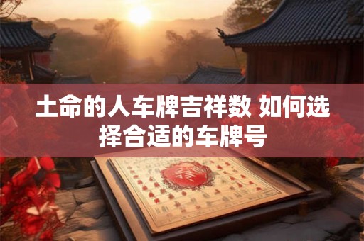 土命的人车牌吉祥数 如何选择合适的车牌号