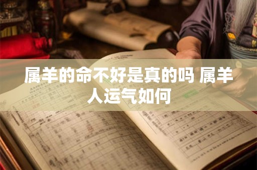 属羊的命不好是真的吗 属羊人运气如何