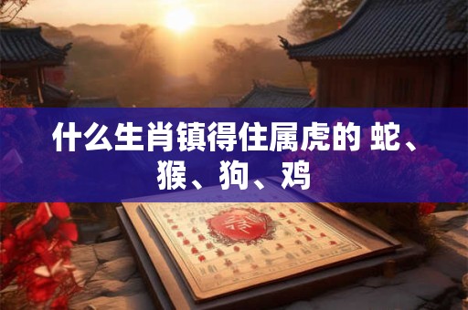 什么生肖镇得住属虎的 蛇、猴、狗、鸡